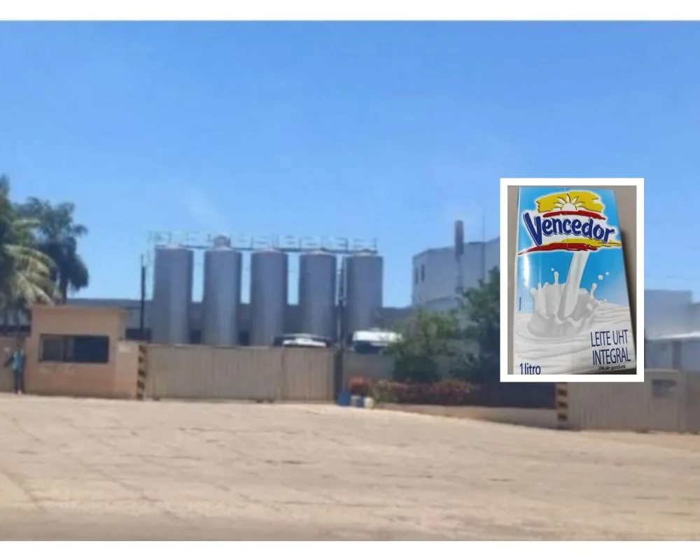 Laticínio encerra atividades em MT e deixa produtores e funcionários sem receber
