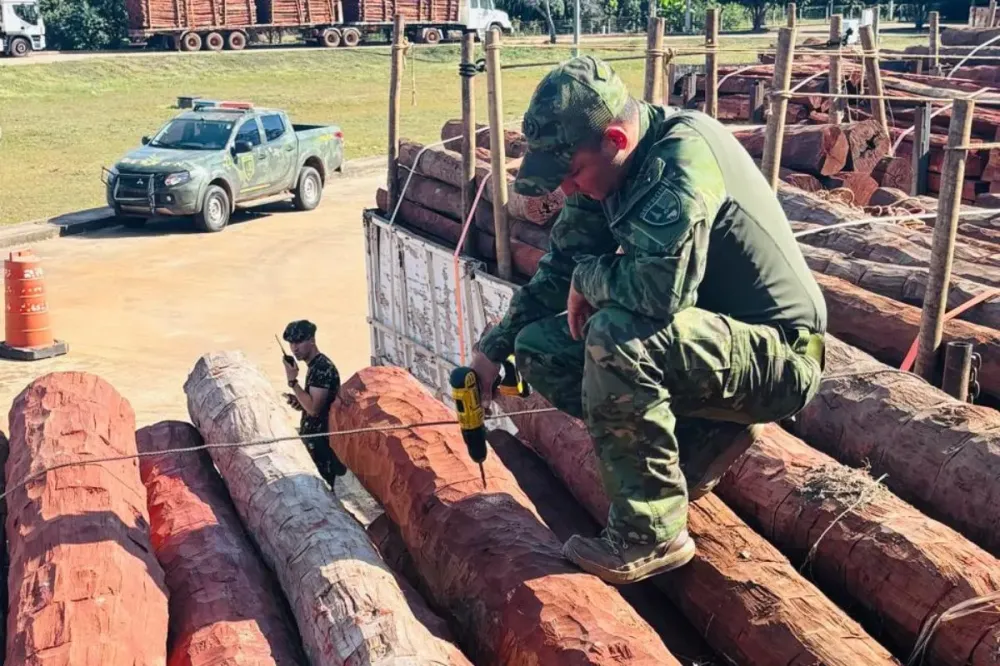 Cocaína líquida é apreendida em carga de madeiras em MT e MS; pode ser a maior da história