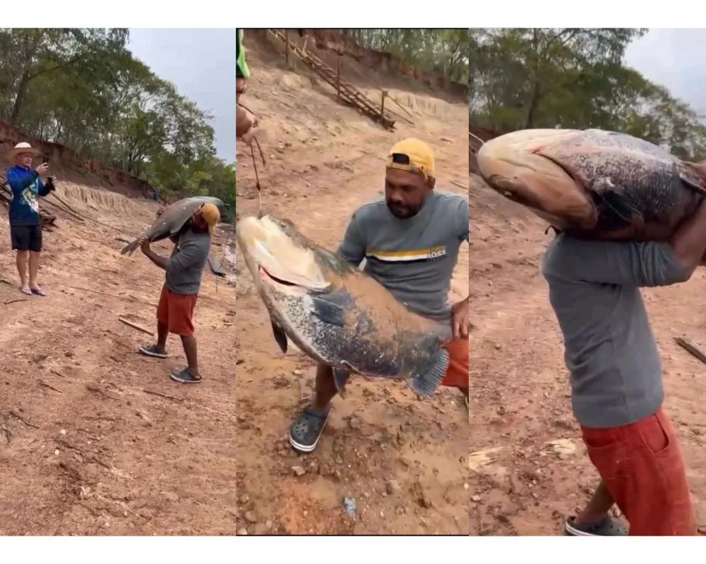Pescador fisga Tambaqui gigante no Rio Cuiabá e viraliza nas redes sociais