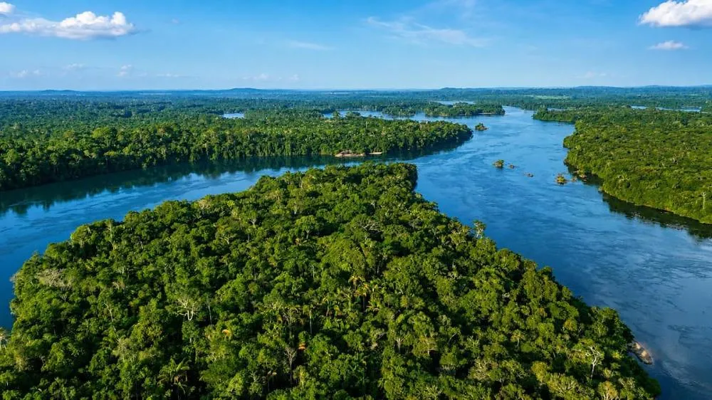 Projeto em MT já removeu mais de 700 mil t de carbono da atmosfera