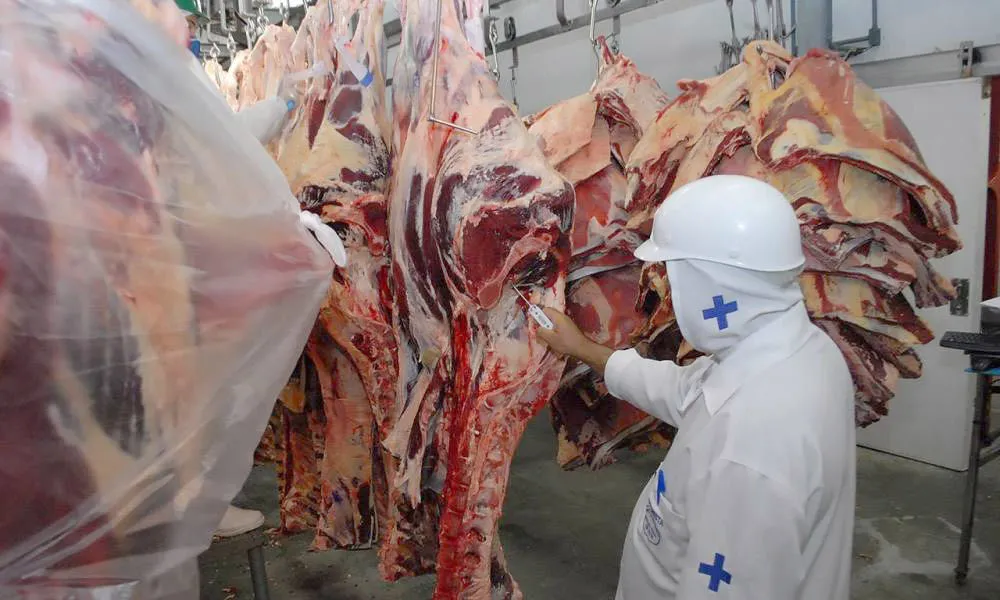 Corrida para atender chineses antes da taxação leva MT ao maior abate bovino da história