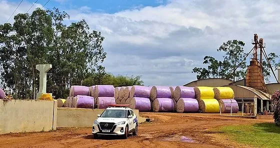 Algodoeira e fábrica de ração são flagradas cometendo furto de energia em Campo Verde (MT)