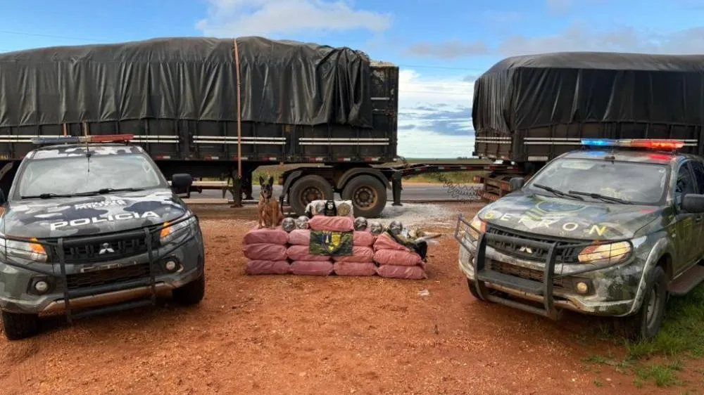Gefron apreende mais de 400 quilos de skank e causa prejuízo de R$ 1,8 milhão ao crime