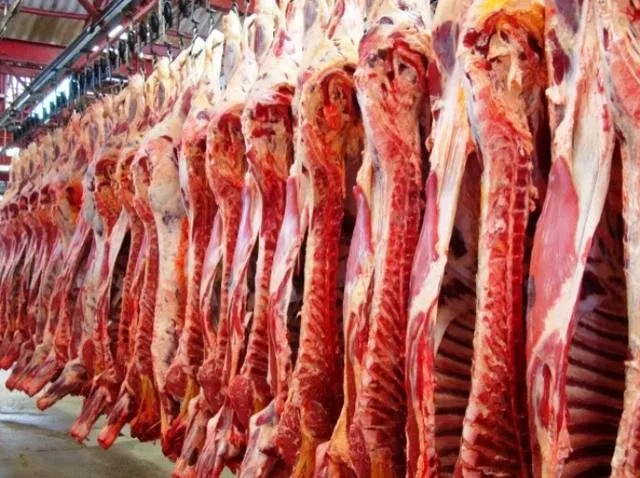 Mesmo com tarifaço de Trump, exportações de carne em Mato Grosso sobem 43% 