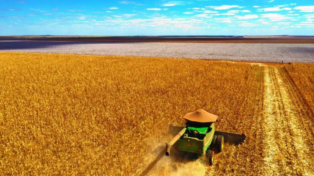 Trivelato integra grupo de municípios com terras agrícolas mais valorizadas de Mato Grosso