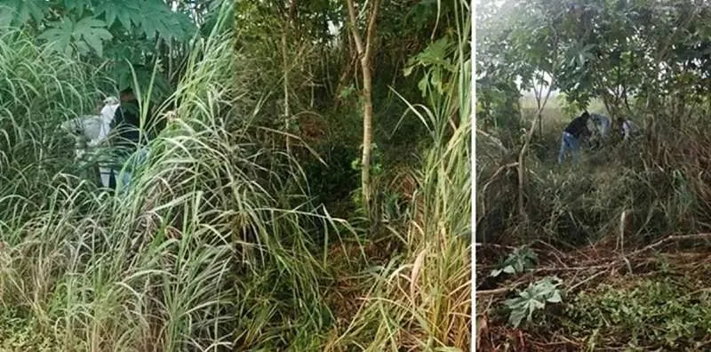 Corpo em decomposição é localizado em Nova Mutum; há suspeita de que seja jovem desaparecido