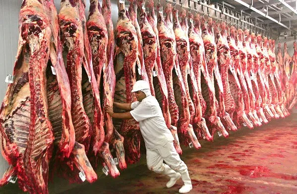 Mato Grosso dispara e exporta US$ 1,1 bilhão em carne no trimestre