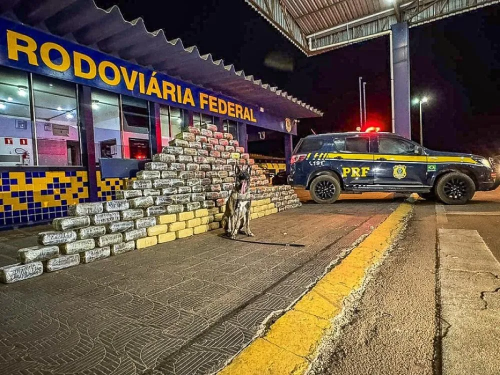 PRF encontra meia tonelada de “supermaconha” em fundo falso de caminhão em MT