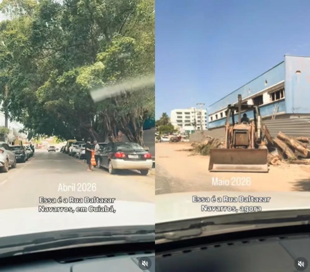 Abilio abre investigação após “destruição” de árvores em Cuiabá