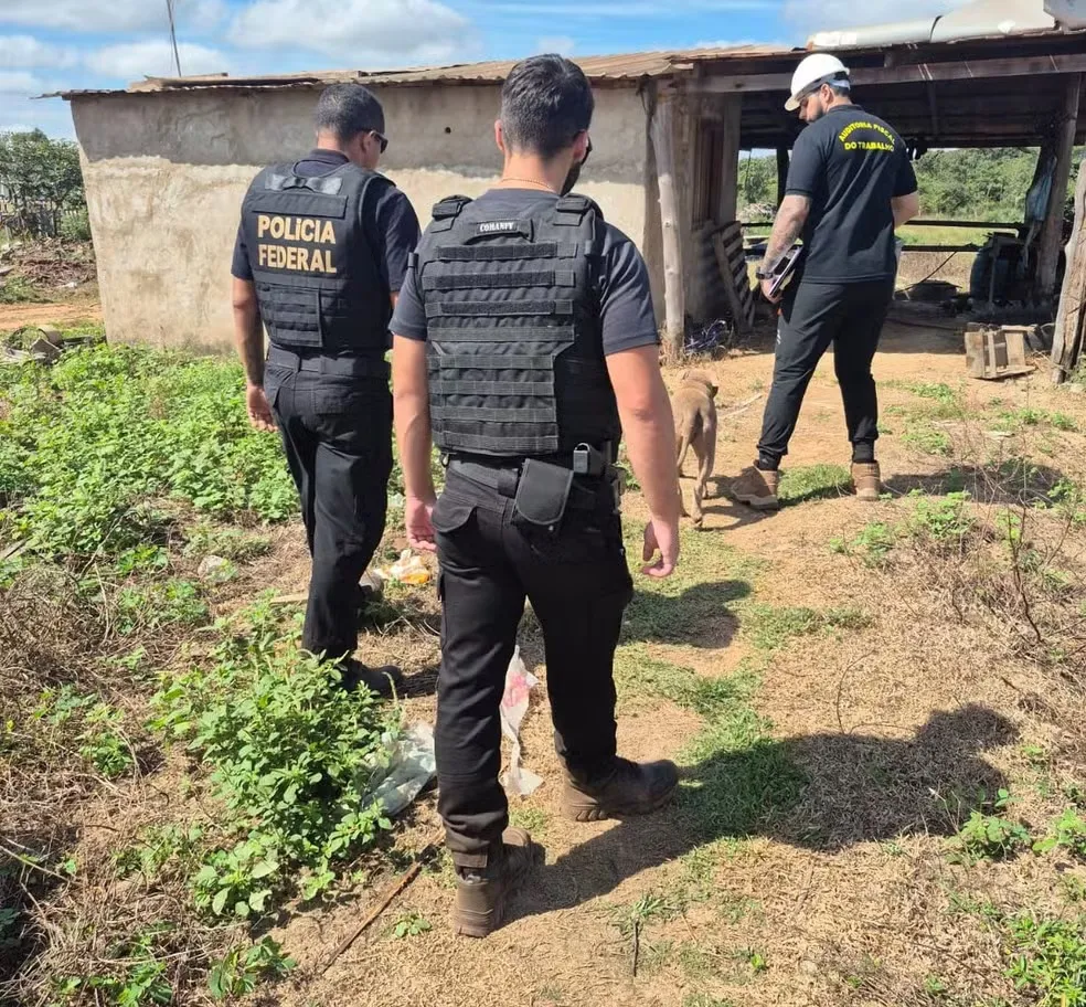 Oito trabalhadores são resgatados de trabalho escravo e 4 adolescentes de trabalho infantil em MT