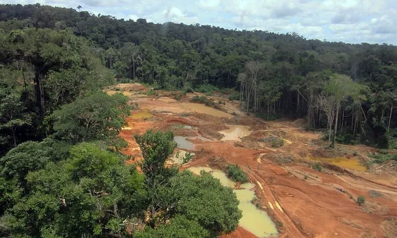 Dino manda União acabar com garimpo em terra indígena de MT